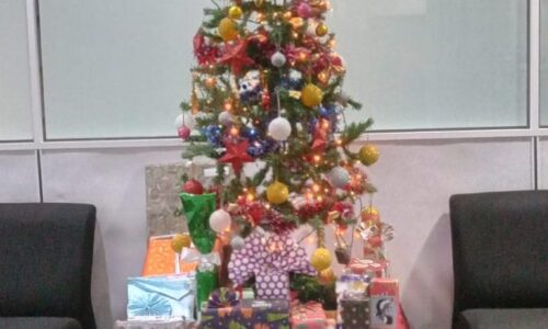 WhatsApp-Image-2022-01-11-at-17.52.56-768x1024